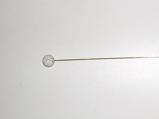 Astrospitze Fisch für System BOREA
