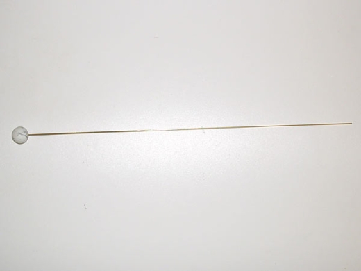 Astrospitze Fisch für System BOREA