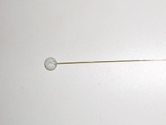 Astrospitze Fisch für System BOREA