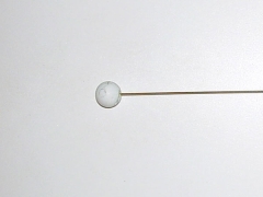 Astrospitze Fisch für System OSIRIS
