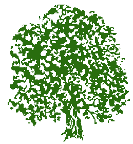 feigenbaum