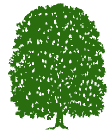 kastanie